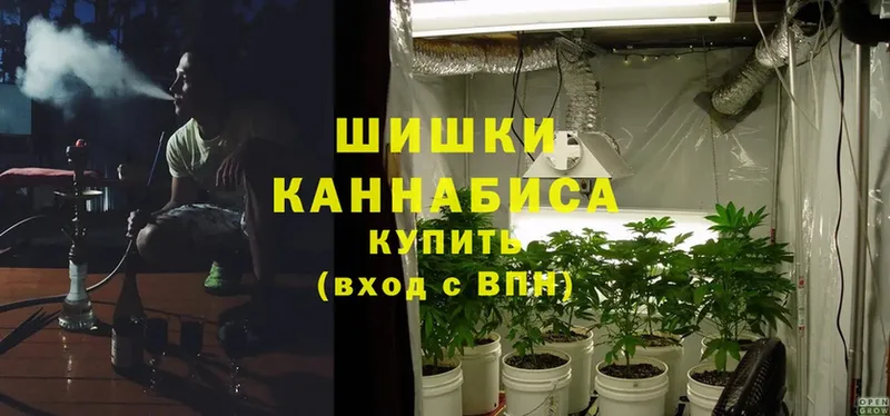 shop Telegram  MEGA зеркало  Курск  Конопля White Widow 